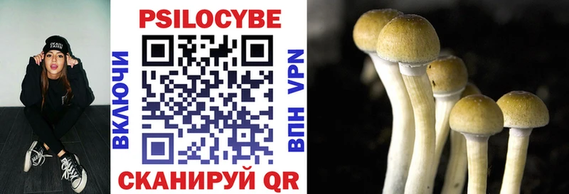 Псилоцибиновые грибы прущие грибы  блэк спрут ССЫЛКА  Малгобек  дарнет шоп 