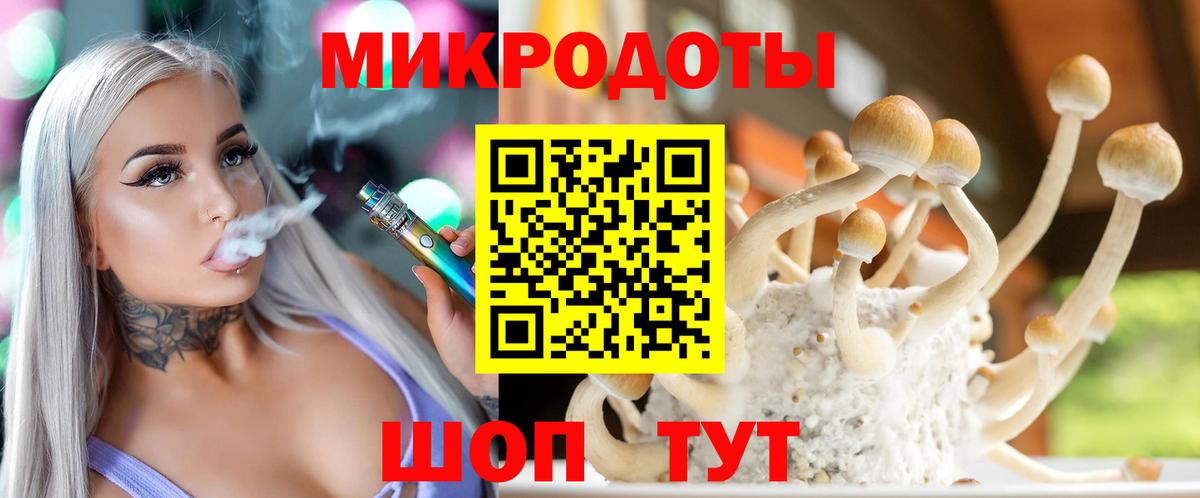 где можно купить   Вход с VPN  Малгобек  Галлюциногенные грибы ЛСД  Галлюциногенные грибы Psilocybine cubensis 