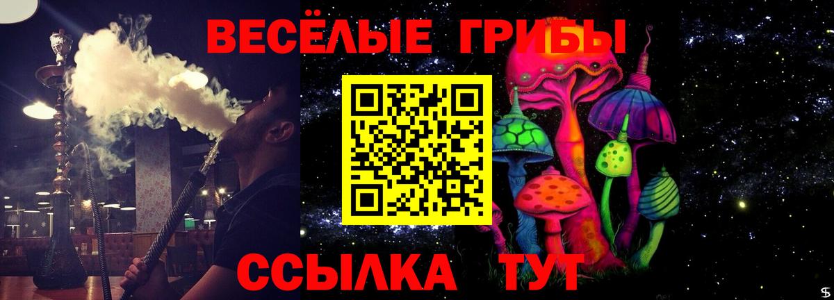 Псилоцибиновые грибы прущие грибы Малгобек
