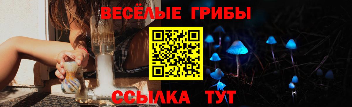 Псилоцибиновые грибы прущие грибы Малгобек